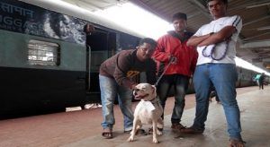 Railways-charged-a-fine-on-a-dog-for-travelling-without-a-ticket2