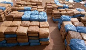 PicsArt_02-10-07.35.08