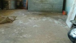 PicsArt_02-19-06.10.32