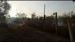 PicsArt_02-21-06.41.10