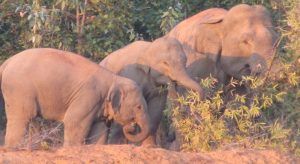 IMG-20180321-WA0056_1521643882274