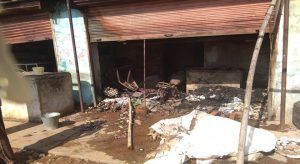 IMG_20180301_095541 (1)