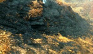 PicsArt_03-09-03.26.18