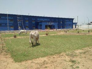 PicsArt_04-20-12.27.54