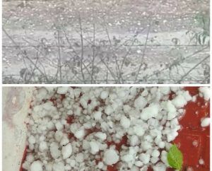 PicsArt_04-30-03.11.46