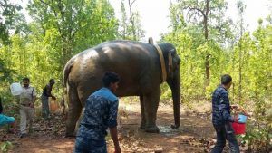 PicsArt_05-12-03.53.07