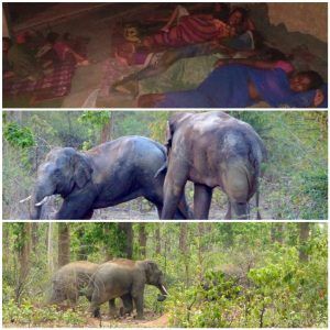 PicsArt_05-22-09.45.42