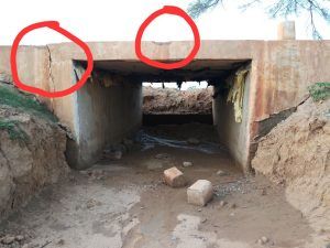 1530021712690_IMG-20180619-WA0272