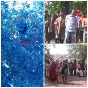 PicsArt_06-04-03.45.17