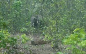 PicsArt_06-07-06.26.12