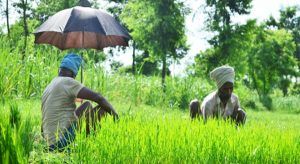 मजदूरी भुगतान