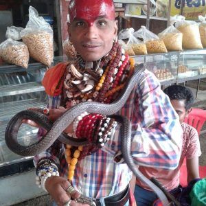 14212647_297981100575029_3424652590703546754_n