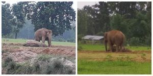 PicsArt_07-29-12.40.09