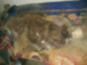 PicsArt_09-08-10.58.10