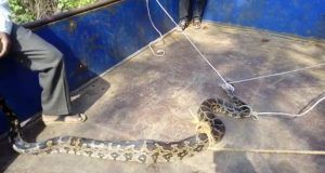 PicsArt_09-13-09.27.14