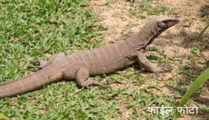 PicsArt_09-22-08.06.18