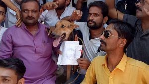 vlcsnap-2018-09-16-14h48m15s806