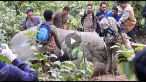 PicsArt_11-29-08.48.40