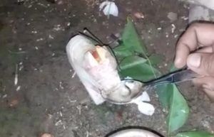 PicsArt_07-25-09.23.51