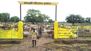 VID20190803124142 (1)