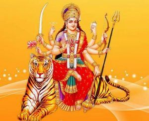 PicsArt_09-29-08.01.03