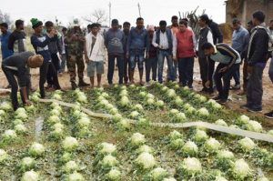 olavrishti-balrampur