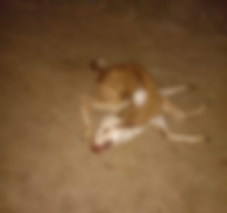 IMG_20200330_014117.jpg