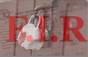 shop-seal-fir-balog-1