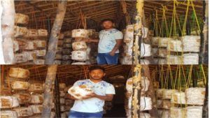 F3007AE5843534A10FE6C6E113DF0F6D