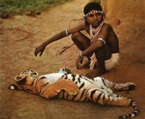 The friendship was such that the world was praised, the Tiger Boy Chenderru Mandavi of Bastar, on this day, this great celebrity said goodbye to the world