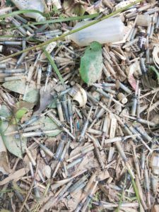 Inadvertent, injection of health department, the disease started in the streets, due to which the villagers were angry