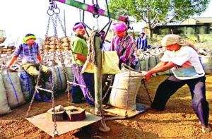 dhan_3983275_835x547-m