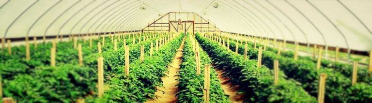 PicsArt_11-27-01.02.50