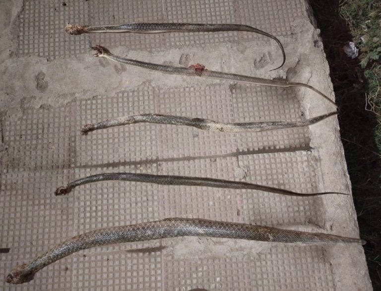 PicsArt_01-09-11.57.08