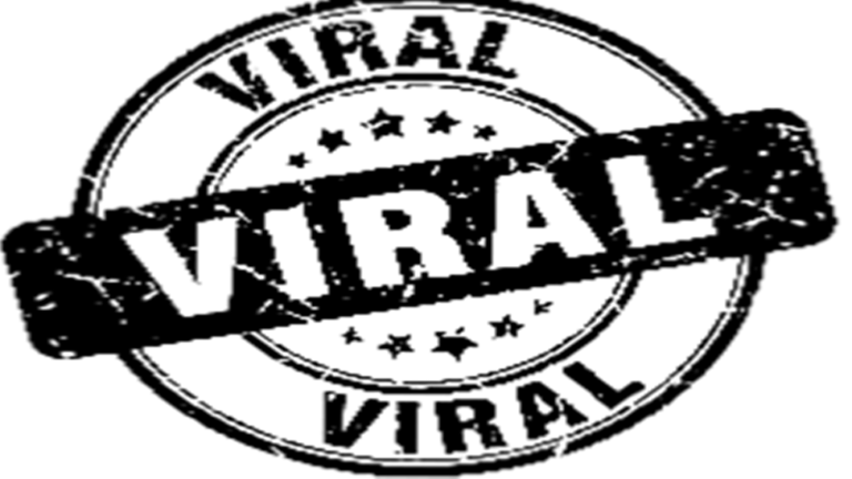 viral sach