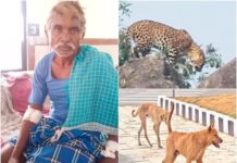 29 03 2022 leopared attack in chhattisgarh