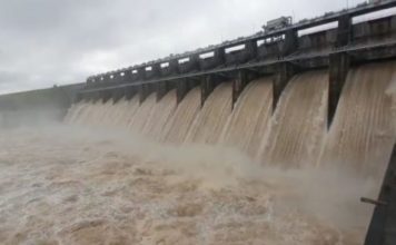 heavy rain continues in madhya pradesh many rivers in spate gates of dams being opened 730X365