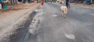 Surguja National Highway