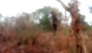 IMG_20230326_18263865