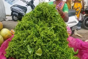 Picsart_23-03-04_14-27-46-213