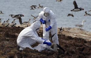 Picsart_23-03-04_18-34-59-377