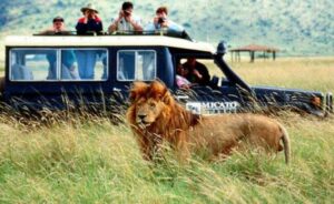 Picsart_23-03-06_13-05-51-994