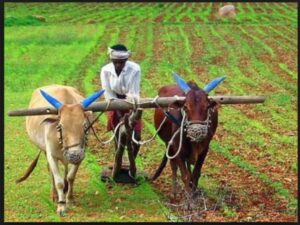 Picsart_23-03-06_13-46-41-461