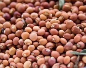 Picsart_23-03-06_21-23-07-104