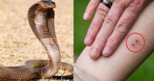 Picsart_23-03-17_11-38-30-589