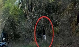 Picsart_23-03-18_08-18-59-543