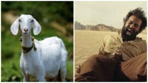 Picsart_23-04-10_15-28-07-708