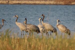 Picsart_23-04-10_18-54-22-636