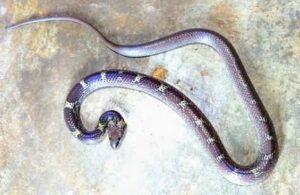 2024-05-21-09-57-08-912