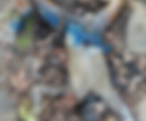 Picsart_24-05-09_23-20-42-564